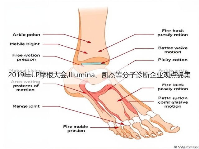 2019年J.P摩根大会,Illumina、凯杰等分子诊断企业观点锦集(图3)