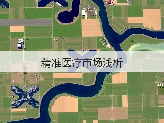 精准医疗市场浅析(图3) 精准医疗市场浅析(图3)