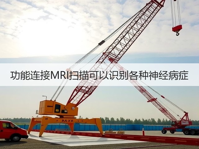 功能连接MRI扫描可以识别各种神经病症(图2) 功能连接MRI扫描可以识别各种神经病症(图2)