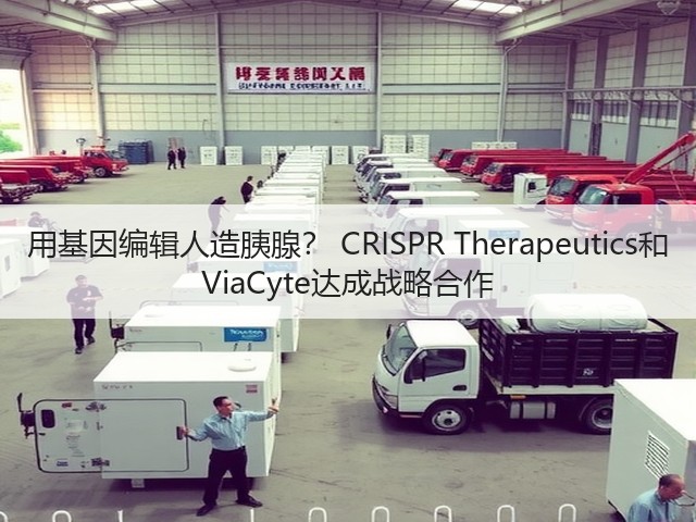 用基因编辑人造胰腺? CRISPR Therapeutics和 ViaCyte达成战略合作(图2) 用基因编辑人造胰腺? CRISPR Therapeutics和 ViaCyte达成战略合作(图2)