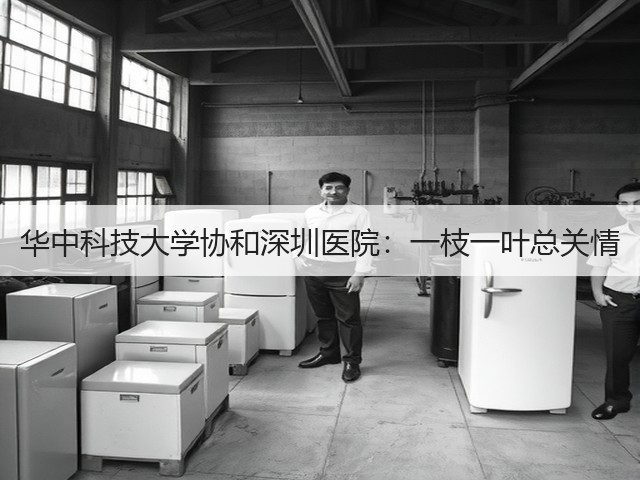 华中科技大学协和深圳医院:一枝一叶总关情(图2) 华中科技大学协和深圳医院:一枝一叶总关情(图2)