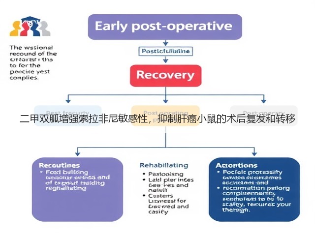 二甲双胍增强索拉非尼敏感性,抑制肝癌小鼠的术后复发和转移(图3) 二甲双胍增强索拉非尼敏感性,抑制肝癌小鼠的术后复发和转移(图3)