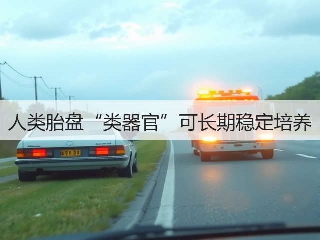 人类胎盘“类器官”可长期稳定培养(图3) 人类胎盘“类器官”可长期稳定培养(图3)