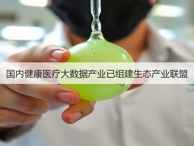 国内健康医疗大数据产业已组建生态产业联盟(图2) 国内健康医疗大数据产业已组建生态产业联盟(图2)