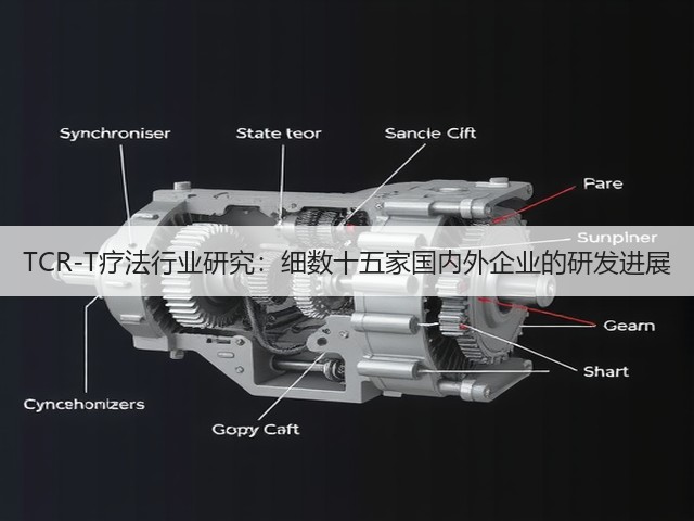 TCR-T疗法行业研究:细数十五家国内外企业的研发进展(图2) TCR-T疗法行业研究:细数十五家国内外企业的研发进展(图2)