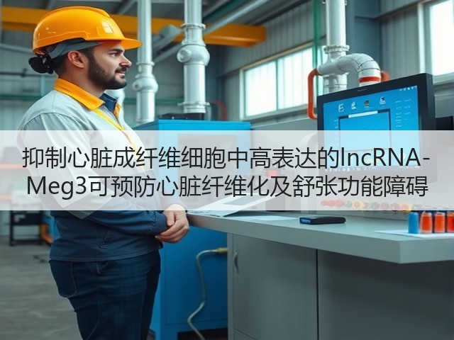 抑制心脏成纤维细胞中高表达的lncRNA-Meg3可预防心脏纤维化及舒张功能障碍(图1) 抑制心脏成纤维细胞中高表达的lncRNA-Meg3可预防心脏纤维化及舒张功能障碍(图1)