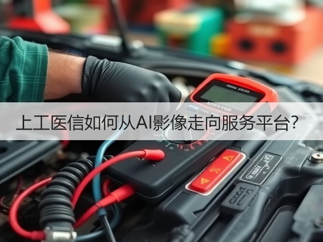 上工医信如何从AI影像走向服务平台？(图2)