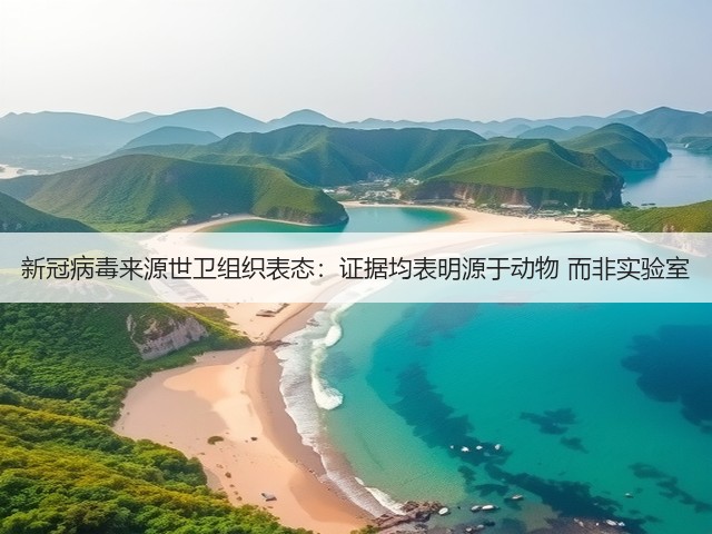 新冠病毒来源世卫组织表态:证据均表明源于动物 而非实验室(图3) 新冠病毒来源世卫组织表态:证据均表明源于动物 而非实验室(图3)