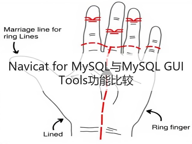 Navicat for MySQL与MySQL GUI Tools功能比较(图2)