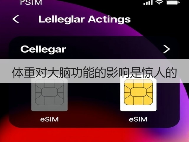 体重对大脑功能的影响是惊人的(图2)