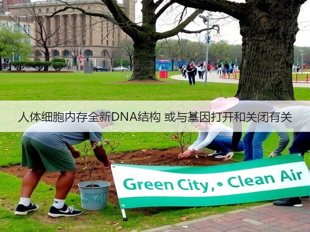 人体细胞内存全新DNA结构 或与基因打开和关闭有关(图3) 人体细胞内存全新DNA结构 或与基因打开和关闭有关(图3)