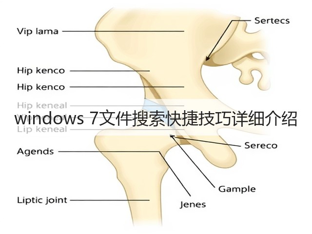windows 7文件搜索快捷技巧详细介绍(图3) windows 7文件搜索快捷技巧详细介绍(图3)