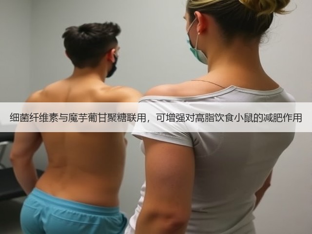 细菌纤维素与魔芋葡甘聚糖联用,可增强对高脂饮食小鼠的减肥作用(图2) 细菌纤维素与魔芋葡甘聚糖联用,可增强对高脂饮食小鼠的减肥作用(图2)