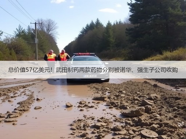 总价值57亿美元!武田制药两款药物分别被诺华、强生子公司收购(图2) 总价值57亿美元!武田制药两款药物分别被诺华、强生子公司收购(图2)