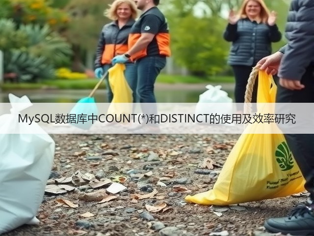 MySQL数据库中COUNT(*)和DISTINCT的使用及效率研究(图3)