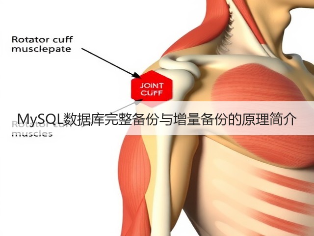 MySQL数据库完整备份与增量备份的原理简介(图1) MySQL数据库完整备份与增量备份的原理简介(图1)