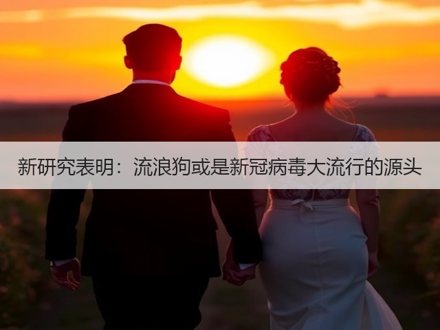 新研究表明:流浪狗或是新冠病毒大流行的源头(图2) 新研究表明:流浪狗或是新冠病毒大流行的源头(图2)