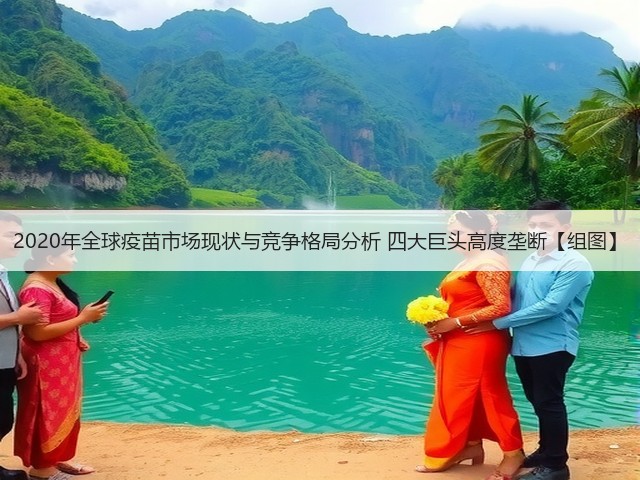 2020年全球疫苗市场现状与竞争格局分析 四大巨头高度垄断【组图】(图2) 2020年全球疫苗市场现状与竞争格局分析 四大巨头高度垄断【组图】(图2)