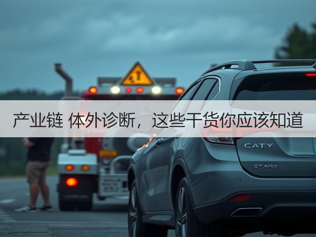 产业链 体外诊断,这些干货你应该知道(图3) 产业链 体外诊断,这些干货你应该知道(图3)