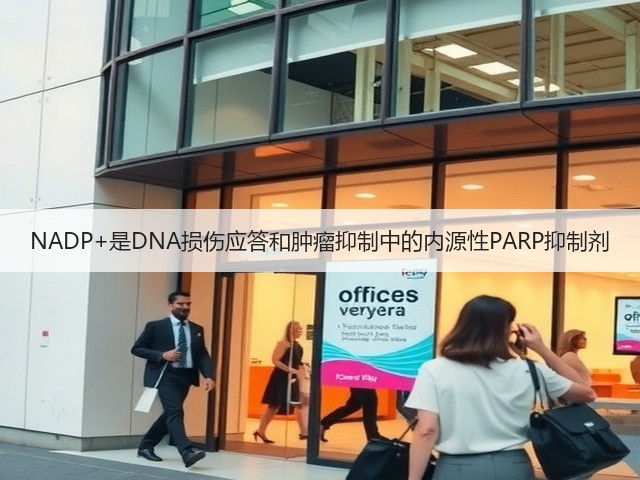 NADP+是DNA损伤应答和肿瘤抑制中的内源性PARP抑制剂(图2) NADP+是DNA损伤应答和肿瘤抑制中的内源性PARP抑制剂(图2)