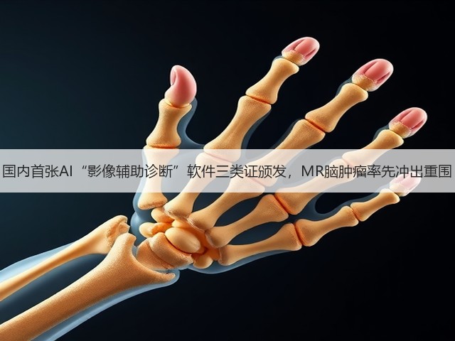 国内首张AI“影像辅助诊断”软件三类证颁发,MR脑肿瘤率先冲出重围(图1) 国内首张AI“影像辅助诊断”软件三类证颁发,MR脑肿瘤率先冲出重围(图1)