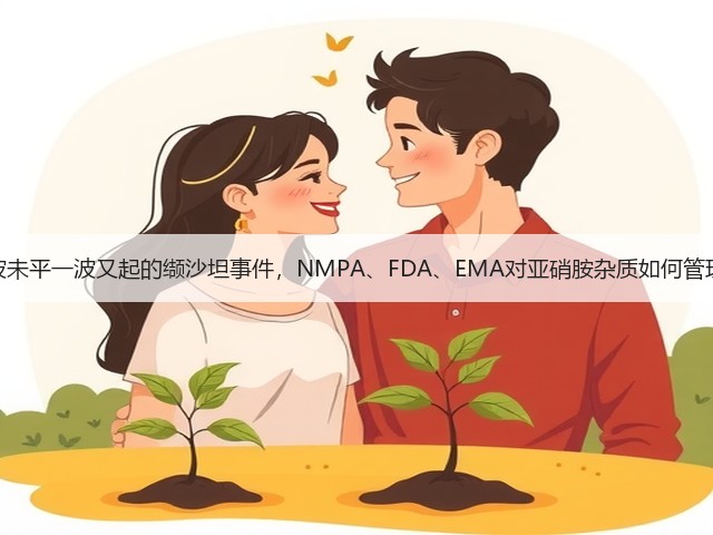 一波未平一波又起的缬沙坦事件,NMPA、FDA、EMA对亚硝胺杂质如何管理?(图3) 一波未平一波又起的缬沙坦事件,NMPA、FDA、EMA对亚硝胺杂质如何管理?(图3)