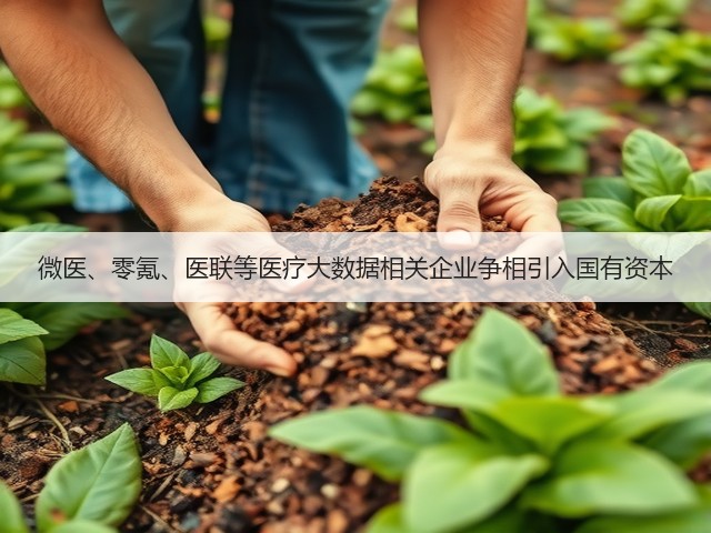 微医、零氪、医联等医疗大数据相关企业争相引入国有资本(图2)
