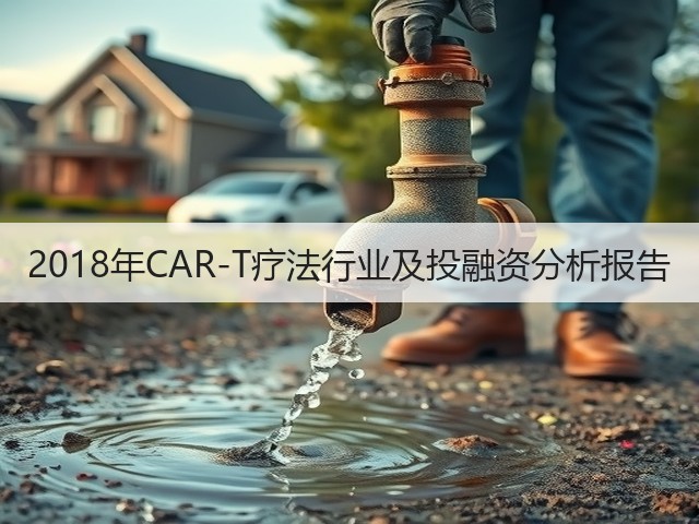 2018年CAR-T疗法行业及投融资分析报告(图1) 2018年CAR-T疗法行业及投融资分析报告(图1)