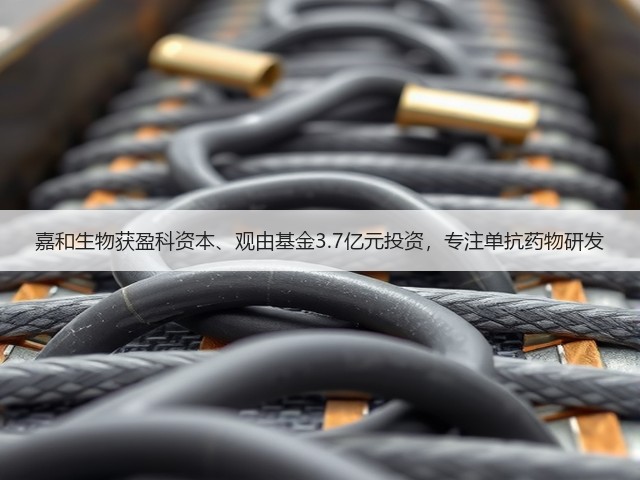 嘉和生物获盈科资本、观由基金3.7亿元投资,专注单抗药物研发(图2) 嘉和生物获盈科资本、观由基金3.7亿元投资,专注单抗药物研发(图2)