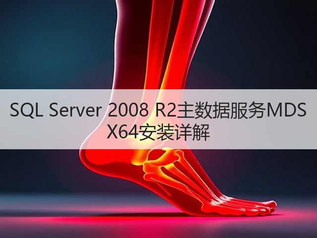 SQL Server 2008 R2主数据服务MDS X64安装详解(图3) SQL Server 2008 R2主数据服务MDS X64安装详解(图3)