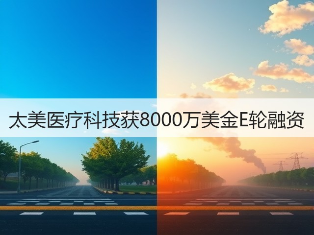 太美医疗科技获8000万美金E轮融资(图3) 太美医疗科技获8000万美金E轮融资(图3)
