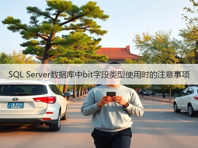 SQL Server数据库中bit字段类型使用时的注意事项(图1) SQL Server数据库中bit字段类型使用时的注意事项(图1)