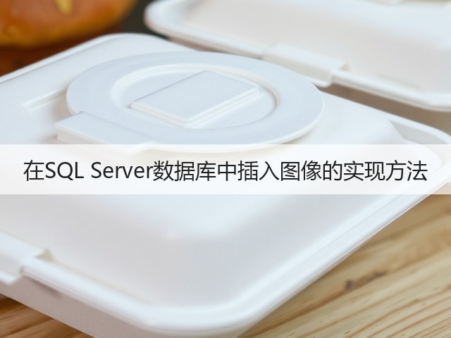 在SQL Server数据库中插入图像的实现方法(图1) 在SQL Server数据库中插入图像的实现方法(图1)