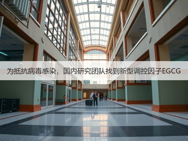 为抵抗病毒感染,国内研究团队找到新型调控因子EGCG(图3) 为抵抗病毒感染,国内研究团队找到新型调控因子EGCG(图3)