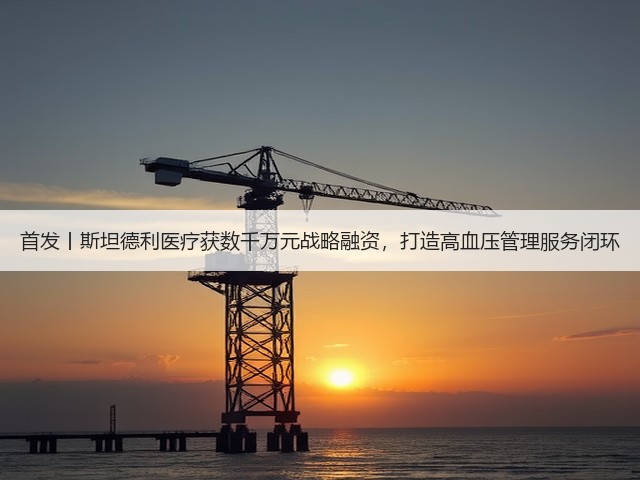 首发丨斯坦德利医疗获数千万元战略融资，打造高血压管理服务闭环(图1)