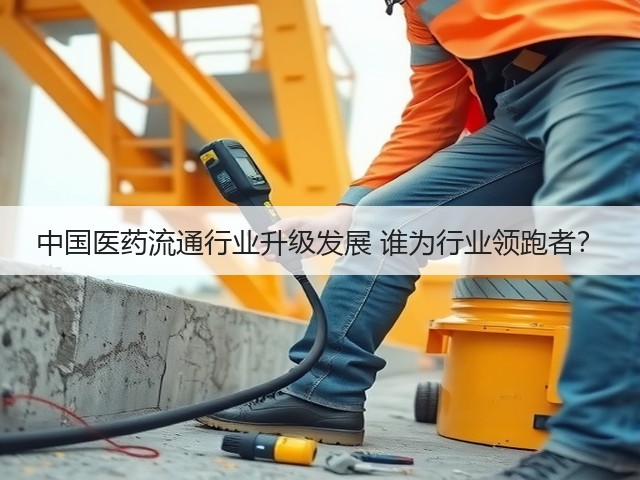 中国医药流通行业升级发展 谁为行业领跑者?(图2) 中国医药流通行业升级发展 谁为行业领跑者?(图2)