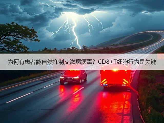 为何有患者能自然抑制艾滋病病毒？CD8+T细胞行为是关键(图3)