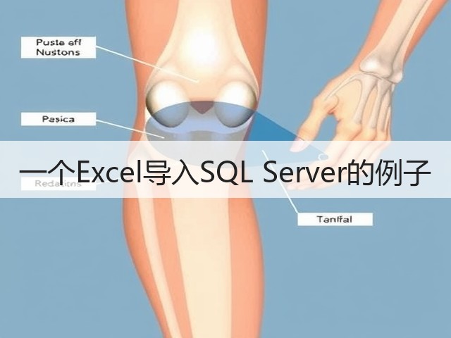 一个Excel导入SQL Server的例子(图2) 一个Excel导入SQL Server的例子(图2)