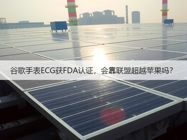 谷歌手表ECG获FDA认证,会靠联盟超越苹果吗?(图3) 谷歌手表ECG获FDA认证,会靠联盟超越苹果吗?(图3)