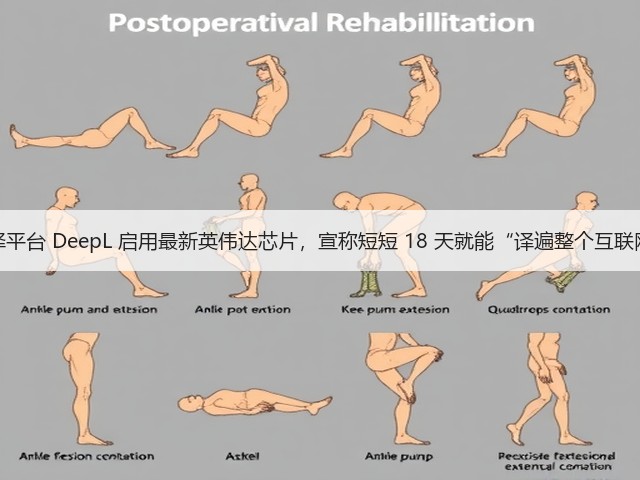 翻译平台 DeepL 启用最新英伟达芯片,宣称短短 18 天就能“译遍整个互联网”(图2) 翻译平台 DeepL 启用最新英伟达芯片,宣称短短 18 天就能“译遍整个互联网”(图2)