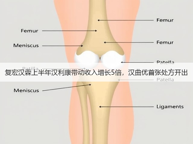复宏汉霖上半年汉利康带动收入增长5倍,汉曲优首张处方开出(图1) 复宏汉霖上半年汉利康带动收入增长5倍,汉曲优首张处方开出(图1)