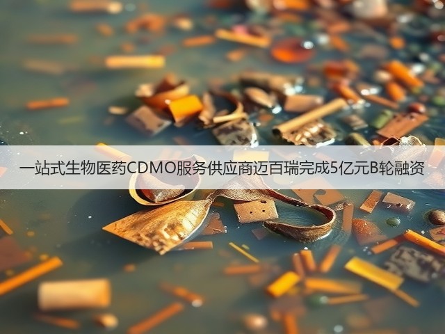 一站式生物医药CDMO服务供应商迈百瑞完成5亿元B轮融资(图1)