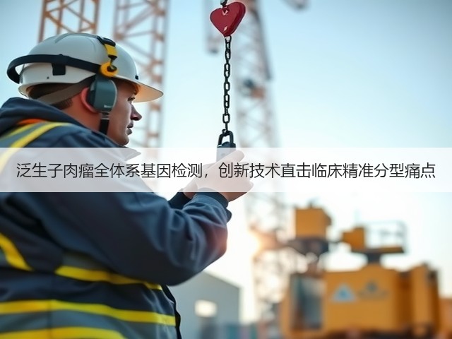 泛生子肉瘤全体系基因检测，创新技术直击临床精准分型痛点(图1)