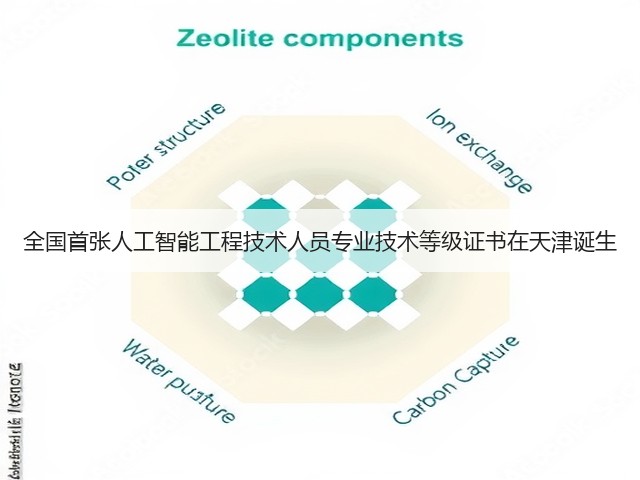 全国首张人工智能工程技术人员专业技术等级证书在天津诞生(图2)