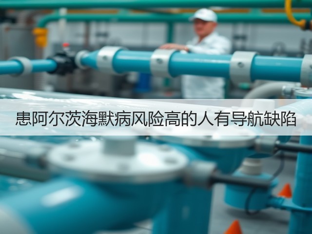 患阿尔茨海默病风险高的人有导航缺陷(图2) 患阿尔茨海默病风险高的人有导航缺陷(图2)