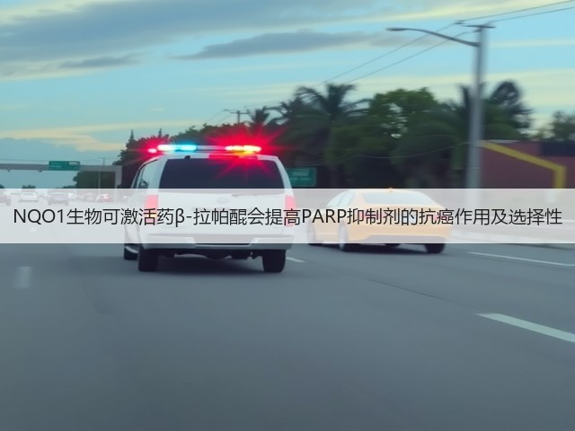 NQO1生物可激活药β-拉帕醌会提高PARP抑制剂的抗癌作用及选择性(图2) NQO1生物可激活药β-拉帕醌会提高PARP抑制剂的抗癌作用及选择性(图2)