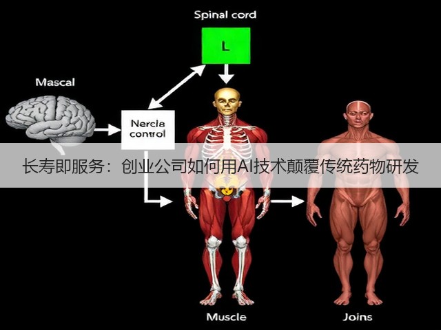 长寿即服务:创业公司如何用AI技术颠覆传统药物研发(图1) 长寿即服务:创业公司如何用AI技术颠覆传统药物研发(图1)