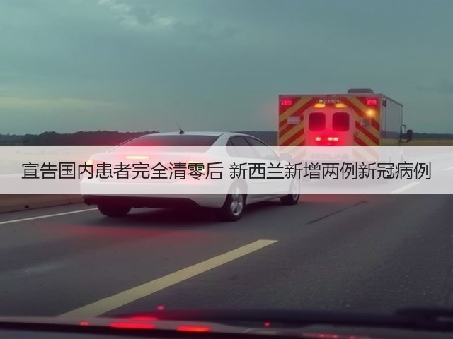 宣告国内患者完全清零后 新西兰新增两例新冠病例(图2) 宣告国内患者完全清零后 新西兰新增两例新冠病例(图2)