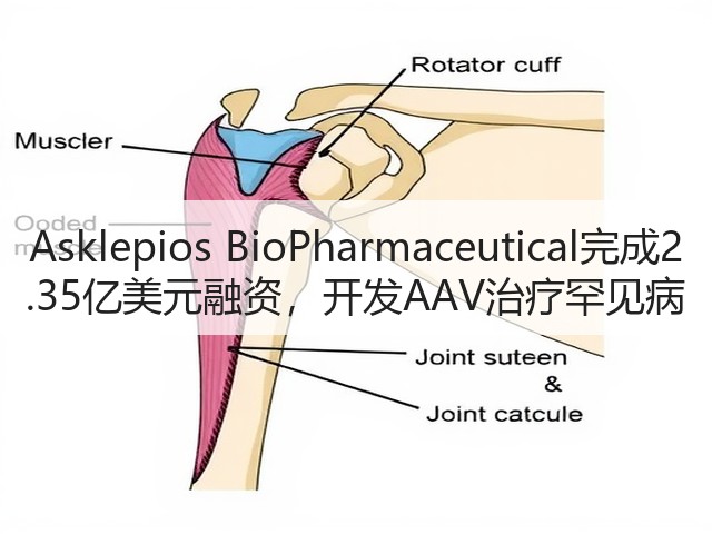 Asklepios BioPharmaceutical完成2.35亿美元融资,开发AAV治疗罕见病(图1) Asklepios BioPharmaceutical完成2.35亿美元融资,开发AAV治疗罕见病(图1)