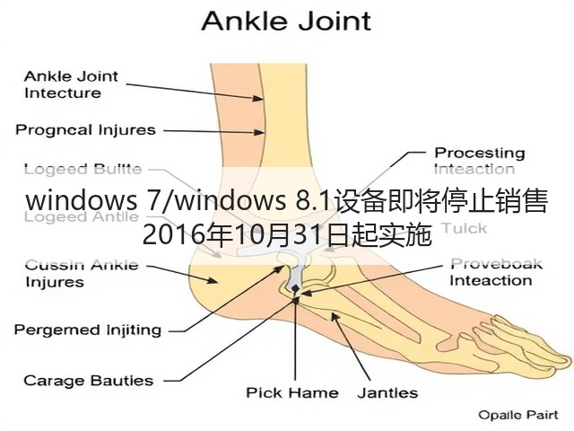 windows 7/windows 8.1设备即将停止销售 2016年10月31日起实施(图1) windows 7/windows 8.1设备即将停止销售 2016年10月31日起实施(图1)